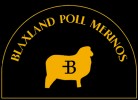 Blaxland Poll