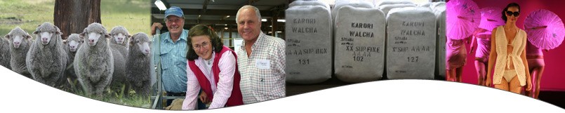New England Merino Field Days Title Bar